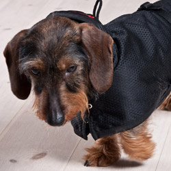 Jezevčík Mesh deka